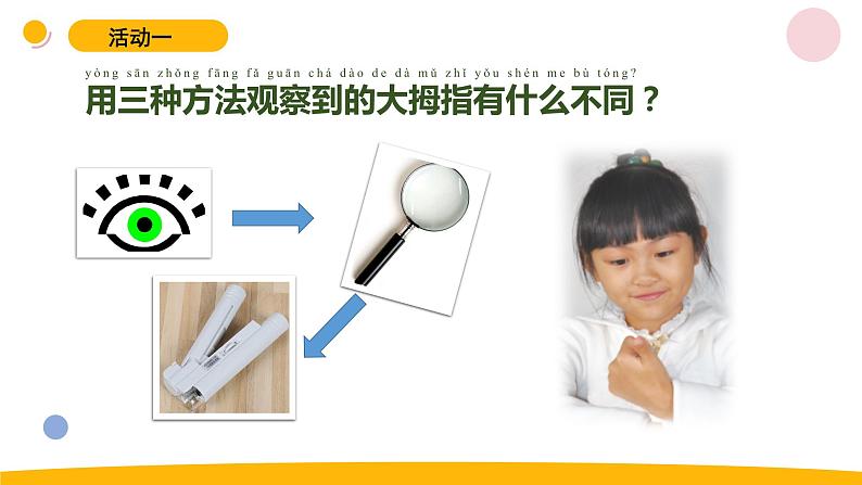 小学科学苏教版一年级上册6《借助工具观察》教学课件（2023秋）第7页