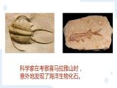 冀人版科学五年级上册3.9地表探秘（课件+教案）