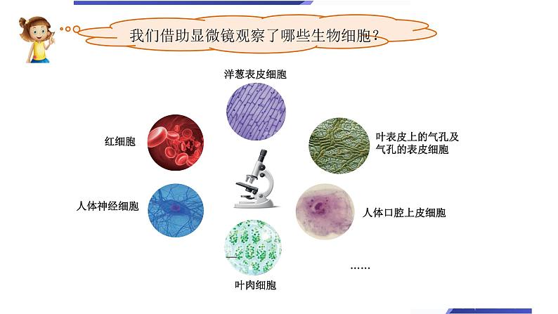 小学科学教科版六年级上册《微小世界》单元第6课《观察水中微小的生物》教学课件（2023秋新课标版）02