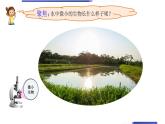 小学科学教科版六年级上册《微小世界》单元第6课《观察水中微小的生物》教学课件（2023秋新课标版）