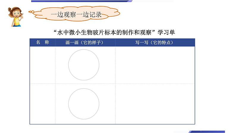 小学科学教科版六年级上册《微小世界》单元第6课《观察水中微小的生物》教学课件（2023秋新课标版）07