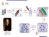 小学科学教科版六年级上册《微小世界》单元第7课《微生物与健康》教学课件（2023秋新课标版）