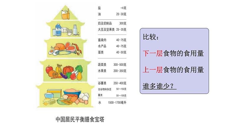 小学科学教科版四年级上册第二单元6营养要均衡教学课件（2023秋新课标版）05