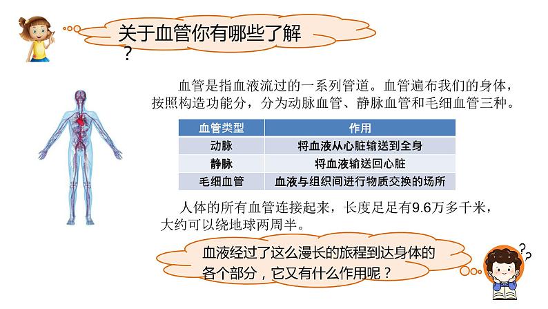 小学科学教科版五年级上册第四单元3《心脏和血液》教学课件（2023秋新课标版）第5页