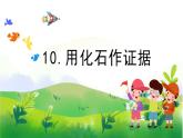 3.10《用化石作證據(jù)》教學課件PPT
