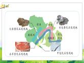 3.10《用化石作證據(jù)》教學課件PPT