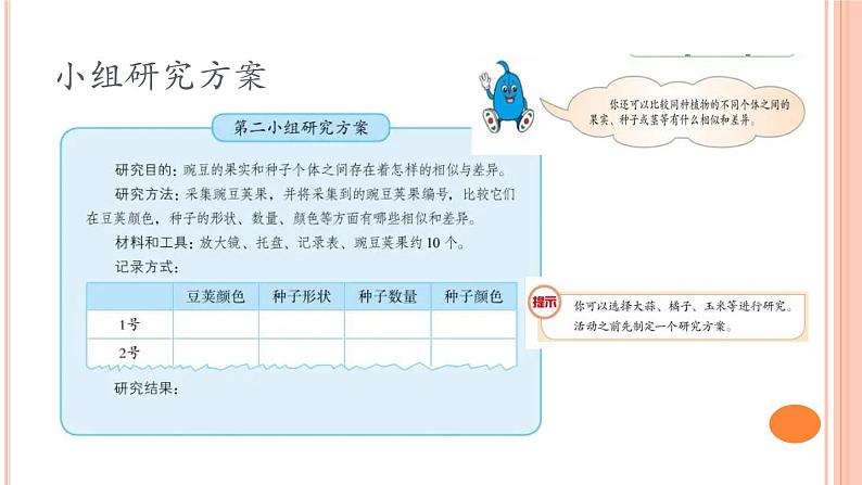 六上-1种豆得豆课件PPT第8页