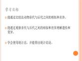 六上-2相似与差异课件PPT