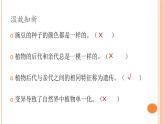六上-2相似与差异课件PPT