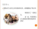 六上-2相似与差异课件PPT