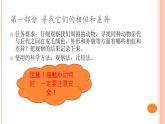 六上-2相似与差异课件PPT