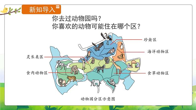 1.1《给动物分类》教学PPT+教案设计02