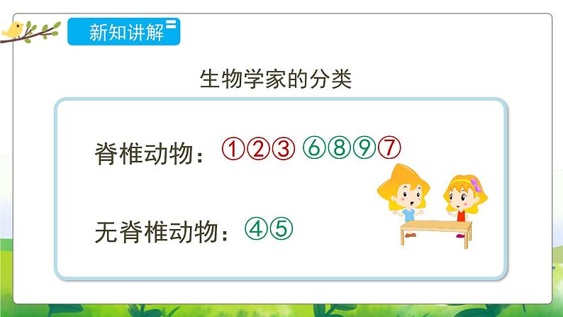 1.1《给动物分类》教学PPT+教案设计04