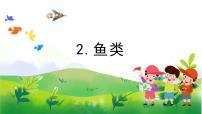 小学2 鱼类完美版教学ppt课件