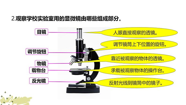 教科版科学六上1.2 《怎样放得更大》课件+教学设计+素材08