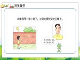 1.3《光的反射》教学PPT+教案设计