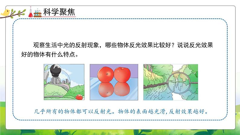 1.3《光的反射》教学PPT第6页