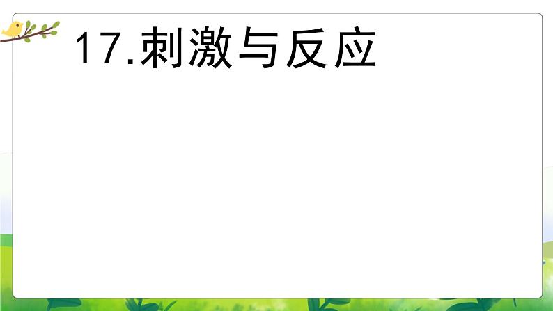 5.17《刺激与反应》教学PPT02