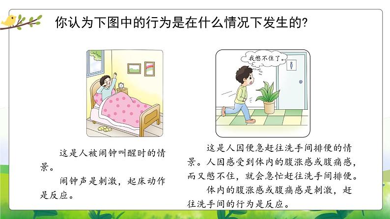 5.17《刺激与反应》教学PPT03