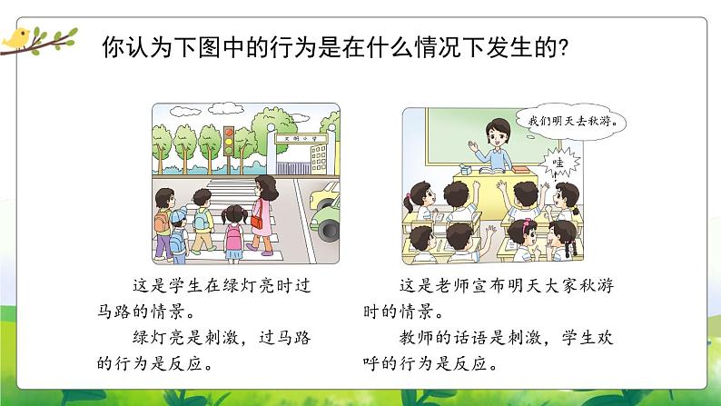 5.17《刺激与反应》教学PPT04