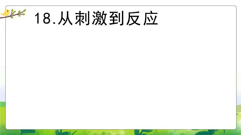 5.18《从刺激到反应》教学PPT第2页