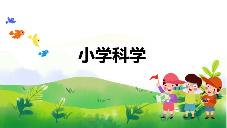 5.19《我们的大脑》教学PPT01