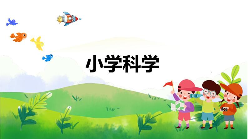 5.20《大脑的开发与利用》教学PPT01