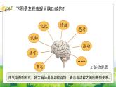 5.20《大脑的开发与利用》教学PPT