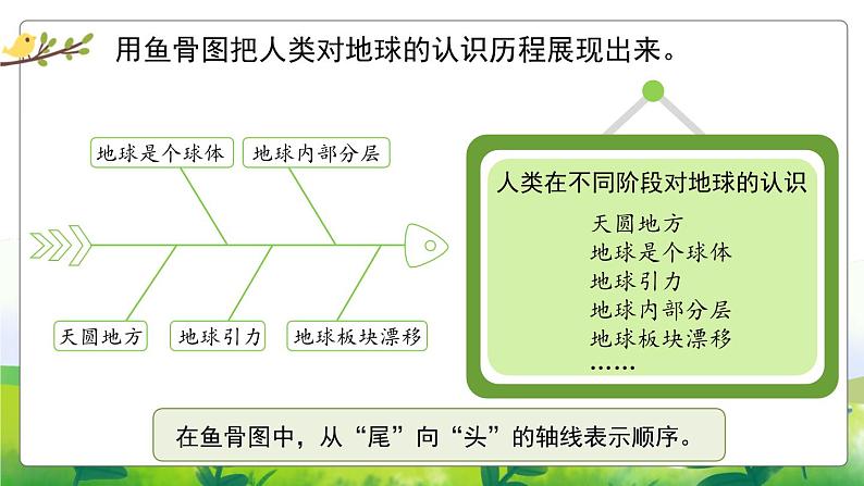 5.20《大脑的开发与利用》教学PPT05