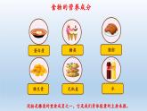 四年级上册科学教科版2.5《食物中的营养》教学课件