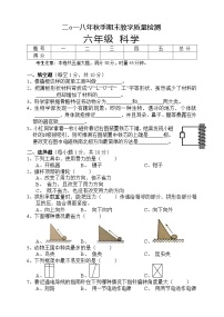 湖南省湘西州永顺县2018-2019学年六年级上学期期末教学质量检测科学试题