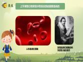 教科版科學(xué)六年級上冊 第5課 觀察更多的生物細(xì)胞 教學(xué)課件+同步練習(xí)+同步教案