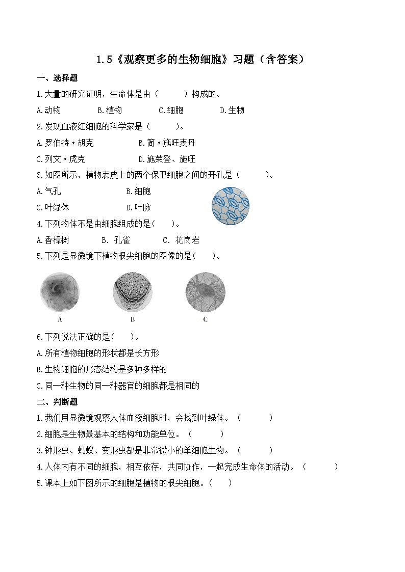 教科版科学六年级上册 第5课 观察更多的生物细胞 教学课件+同步练习+同步教案01