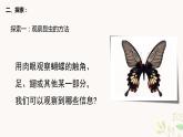 教科版科学六上1.3《观察身边微小的物体》课件+教学设计+素材