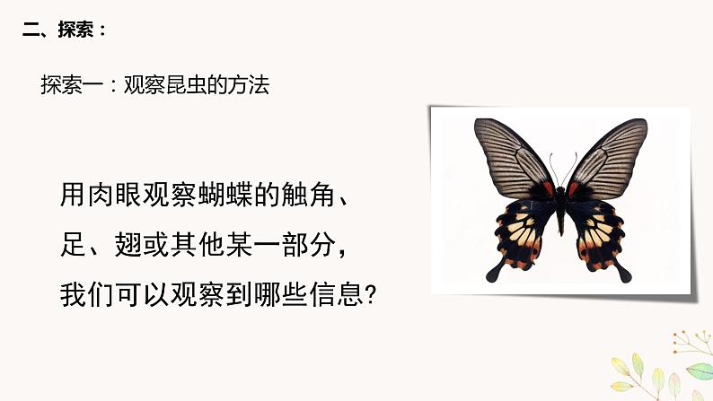 教科版科学六上1.3《观察身边微小的物体》课件+教学设计+素材04