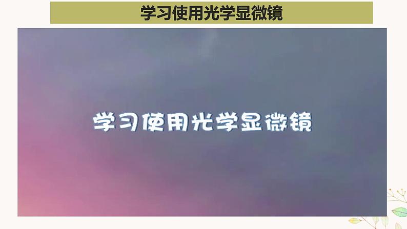 教科版科学六上1.3《观察身边微小的物体》课件+教学设计+素材08