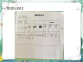 苏教版科学二年级上册 2.6 数星星  课件PPT+练习 +视频素材