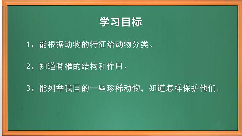 苏教版小学科学四上第一单元《1.给动物分类》课件PPT+视频素材02