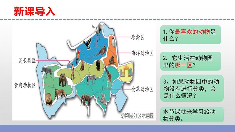 苏教版小学科学四上第一单元《1.给动物分类》课件PPT+视频素材03