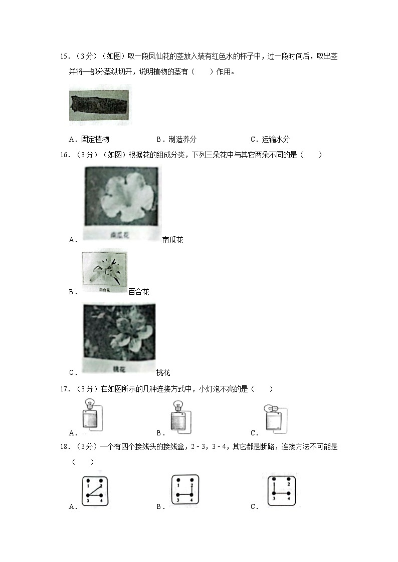 江苏省徐州市沛县2022-2023学年四年级下学期期末科学试卷02