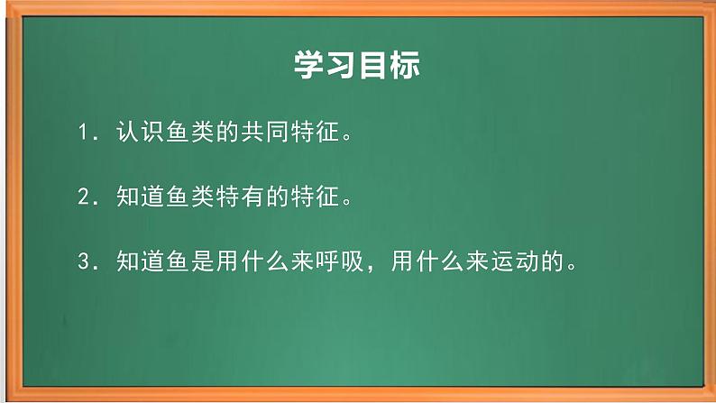 苏教版小学科学四上第一单元《2 鱼类》课件PPT+视频素材02