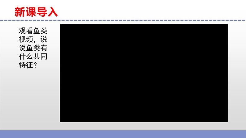 苏教版小学科学四上第一单元《2 鱼类》课件PPT+视频素材03
