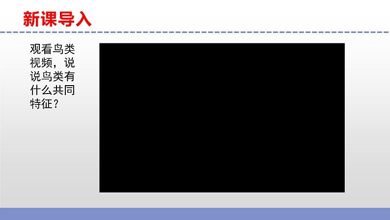 苏教版小学科学四上第一单元《3 鸟类》课件PPT+视频素材03
