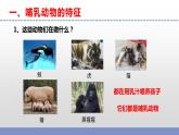 苏教版小学科学四上第一单元《4 哺乳类》课件PPT+视频素材