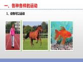蘇教版小學(xué)科學(xué)四上第二單元《5 運(yùn)動(dòng)與位置》課件PPT+視頻素材