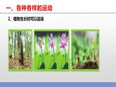 蘇教版小學(xué)科學(xué)四上第二單元《5 運(yùn)動(dòng)與位置》課件PPT+視頻素材