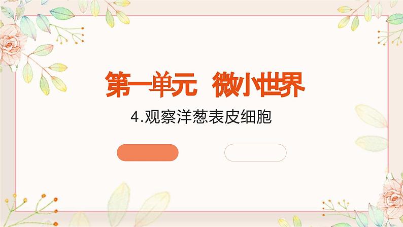 教科版科学六上1.4《观察洋葱表皮细胞》课件+教学设计+素材01