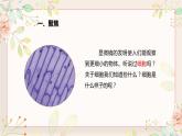 教科版科学六上1.4《观察洋葱表皮细胞》课件+教学设计+素材