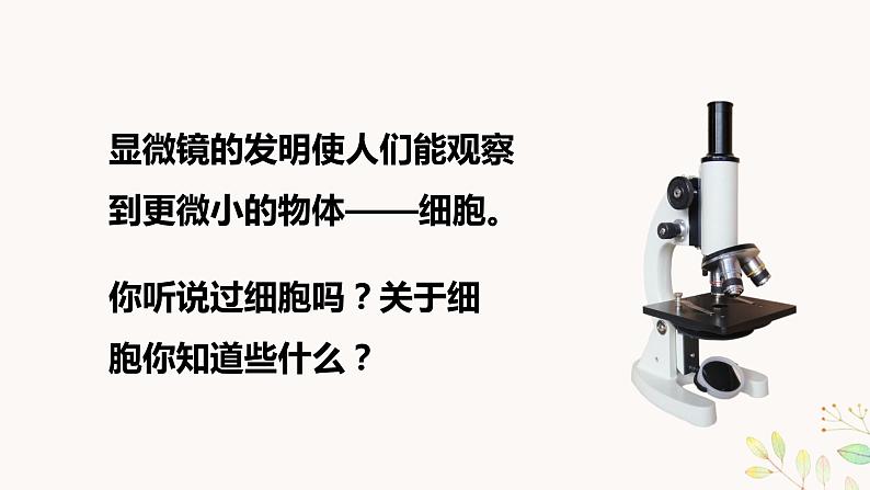 教科版科学六上1.4《观察洋葱表皮细胞》课件+教学设计+素材03