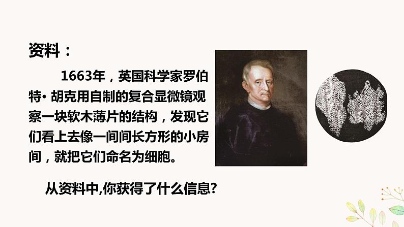 教科版科学六上1.4《观察洋葱表皮细胞》课件+教学设计+素材05